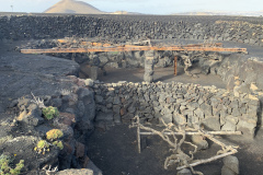 22-03-07-16-57-19-8993 22-03-07-16-57-19-8993