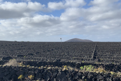 22-03-07-17-04-57-8994 22-03-07-17-04-57-8994