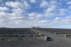 22-03-07-17-06-09-8995 22-03-07-17-06-09-8995