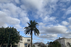 22-03-07-17-42-12-8997 22-03-07-17-42-12-8997