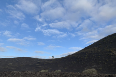 22-03-07-17-59-23-9003 22-03-07-17-59-23-9003