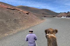 22-03-08-13-24-53-9013 22-03-08-13-24-53-9013