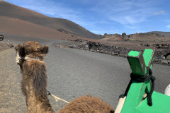 22-03-08-13-26-05-9014 22-03-08-13-26-05-9014