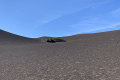 22-03-08-13-28-13-9017 22-03-08-13-28-13-9017