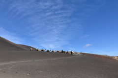 22-03-08-13-29-46-9020 22-03-08-13-29-46-9020