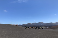 22-03-08-13-30-35-9021 22-03-08-13-30-35-9021