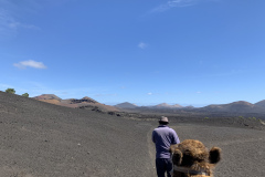 22-03-08-13-31-11-9024 22-03-08-13-31-11-9024