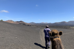 22-03-08-13-31-12-9025 22-03-08-13-31-12-9025