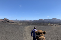 22-03-08-13-31-14-9026 22-03-08-13-31-14-9026