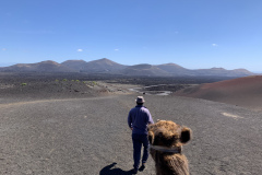 22-03-08-13-31-18-9027 22-03-08-13-31-18-9027