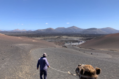 22-03-08-13-32-50-9034 22-03-08-13-32-50-9034