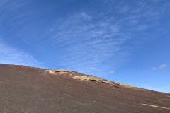 22-03-08-13-33-20-9037 22-03-08-13-33-20-9037