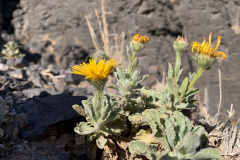 22-03-08-16-36-12-9086