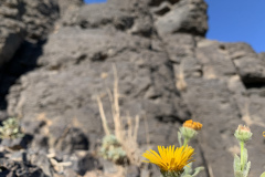 22-03-08-16-36-29-9087