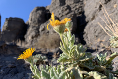 22-03-08-16-37-01-9088