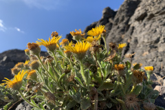 22-03-08-16-37-54-9089