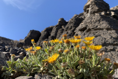 22-03-08-16-38-03-9090