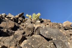 22-03-08-17-40-06-9132