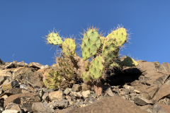 22-03-08-17-40-18-9133