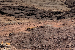 22-03-09-15-32-29-9166