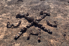 22-03-09-16-17-41-9196