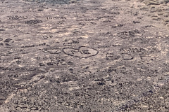 22-03-09-16-36-09-9205