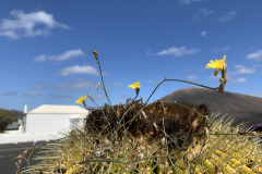 22-03-10-11-44-44-9265