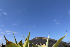 22-03-10-11-45-19-9266