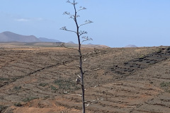 22-03-10-12-54-48-9286