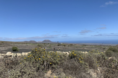 22-03-10-13-03-20-9292