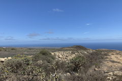 22-03-10-13-03-27-9293