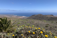 22-03-10-13-12-29-9298