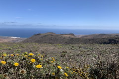 22-03-10-13-12-39-9299