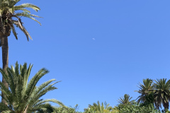 22-03-10-13-43-25-9319