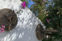 22-03-10-13-45-54-9322