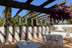 22-03-10-14-23-07-9328