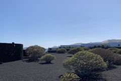 22-03-10-15-34-03-9347 22-03-10-15-34-03-9347