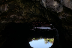 22-03-10-15-41-48-9350 22-03-10-15-41-48-9350