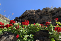 22-03-10-16-06-55-9377 22-03-10-16-06-55-9377