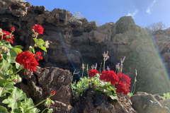 22-03-10-16-07-11-9378 22-03-10-16-07-11-9378