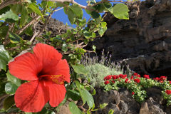 22-03-10-16-07-37-9379 22-03-10-16-07-37-9379