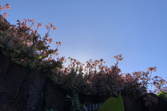 22-03-10-16-14-13-9382 22-03-10-16-14-13-9382