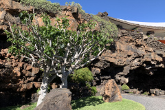 22-03-10-16-15-30-9383 22-03-10-16-15-30-9383