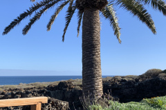 22-03-10-16-37-47-9393 22-03-10-16-37-47-9393