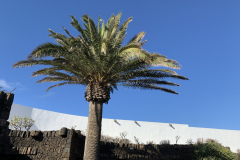 22-03-10-16-51-33-9394 22-03-10-16-51-33-9394