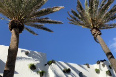 22-03-10-16-54-00-9396 22-03-10-16-54-00-9396