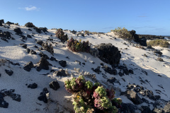 22-03-10-17-15-41-9402 22-03-10-17-15-41-9402