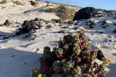 22-03-10-17-16-02-9403 22-03-10-17-16-02-9403