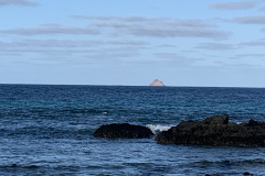 22-03-10-17-33-48-9410 22-03-10-17-33-48-9410