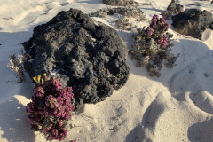 22-03-10-17-46-16-9415 22-03-10-17-46-16-9415